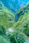 wpe4.jpg (69532 byte)