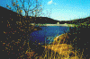 wpe98612.gif (90069 byte)