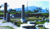 wpe98933.gif (43439 byte)